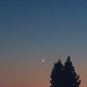 Meet your Posher, Imani